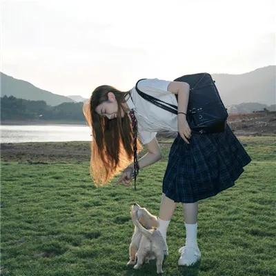 海豚的故事2